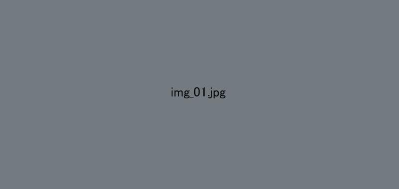 img_01